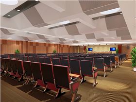 潍坊人民医院多功能厅光导照明产品