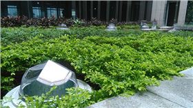 广发银行光导照明应用