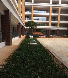 红桥中学光导 红桥中学光导