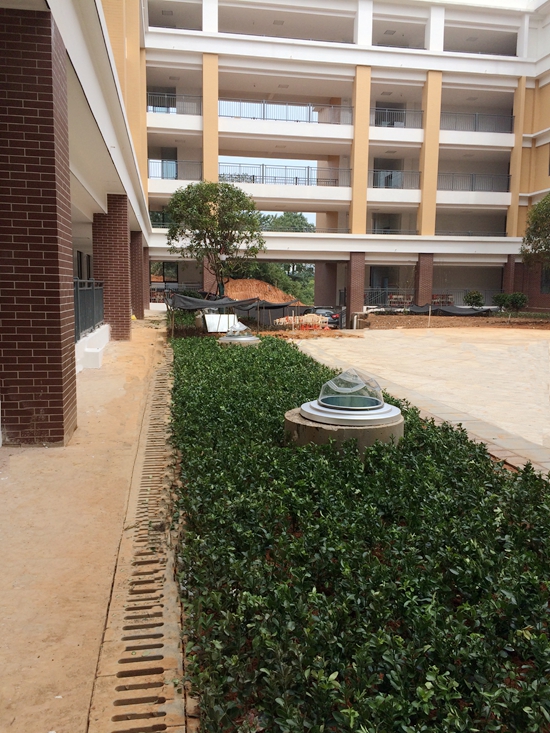 长沙红桥中学——正能量无电照明系统 长沙红桥中学——正能量无电照明系统