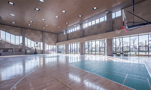 江门体育馆使用正能量日光照明 江门体育馆使用正能量日光照明